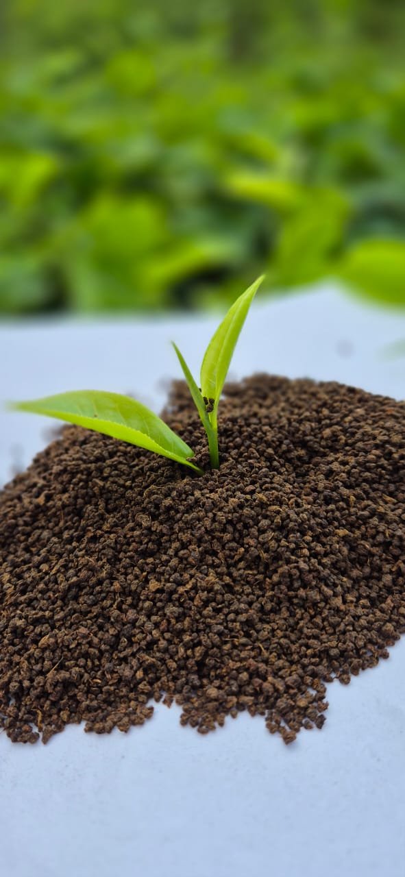 প্রিমিয়াম চা 1kg - Image 2